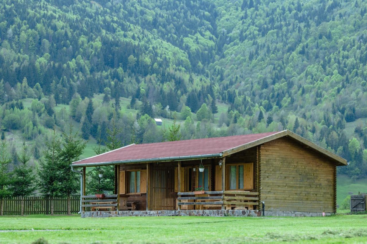 Biotour Camping & Restaurant Ghimeş-Făget Exterior foto